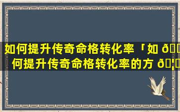 如何提升传奇命格转化率「如 💐 何提升传奇命格转化率的方 🦈 法」